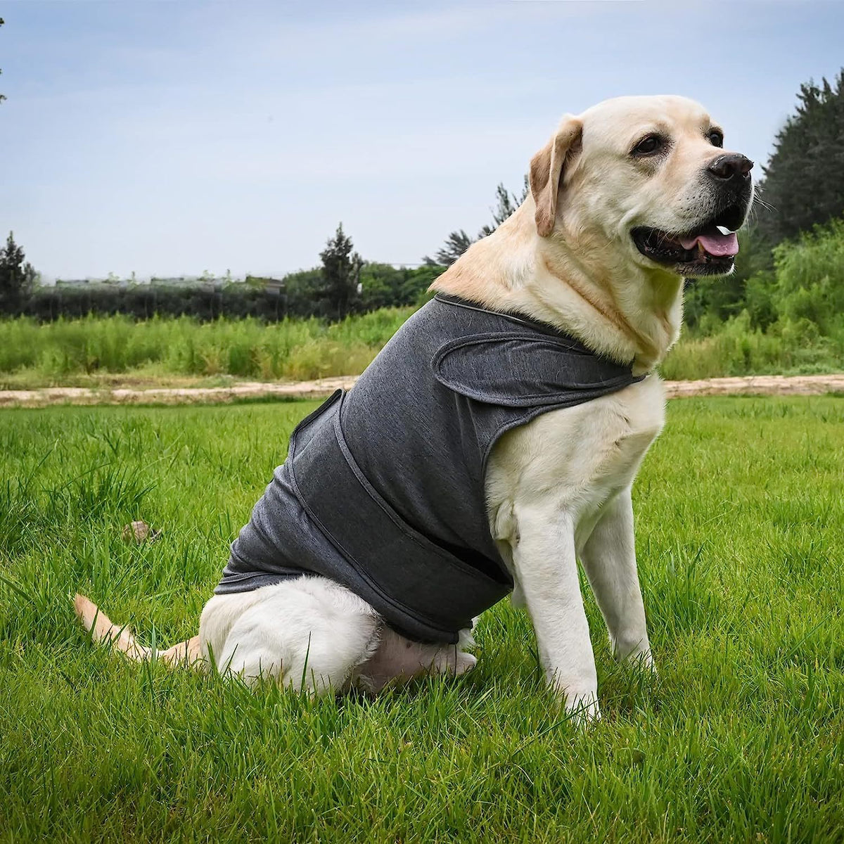 Calming Anxiety Wrap for Dogs - Stress Relief Compression Vest