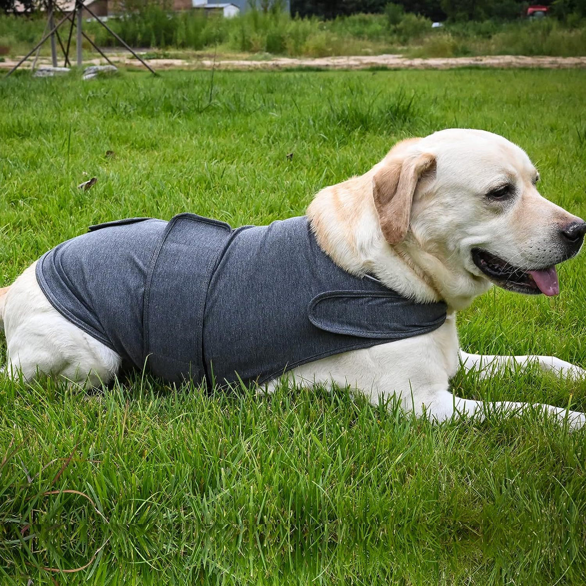 Calming Anxiety Wrap for Dogs - Stress Relief Compression Vest