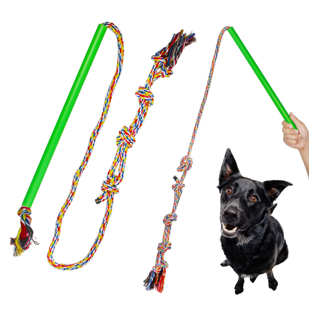 Interactive Flirt Pole - Chase & Exercise Toy for Dogs