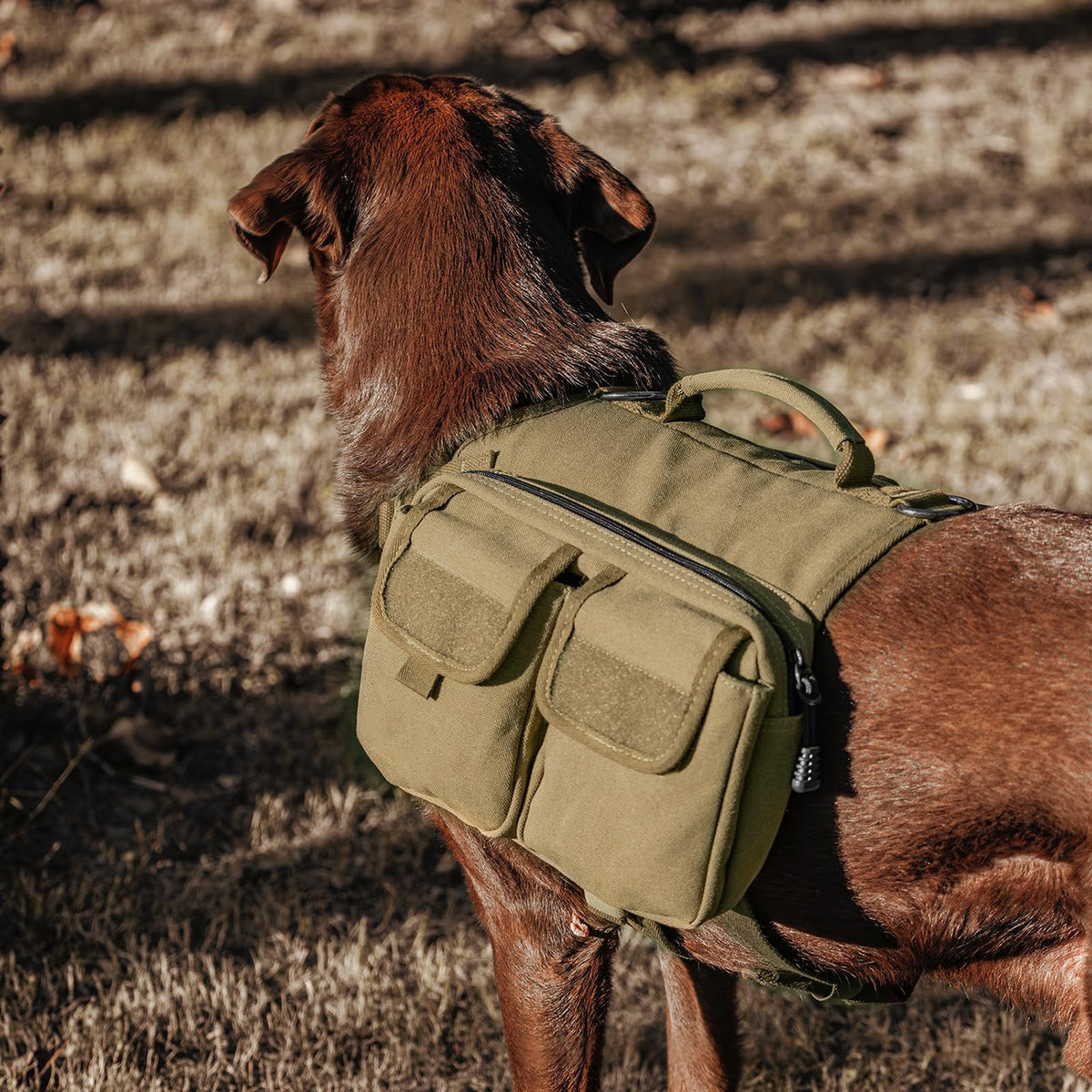 Dog Hiking Backpack - Adventure Saddle Bag Harness